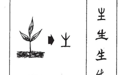 祖卡木颗粒说明书及使用禁忌-祖卡木颗粒 无糖型 说明书网- 祖卡木颗粒的用法用量知识,分享祖卡木颗粒糖尿病人可以吃吗